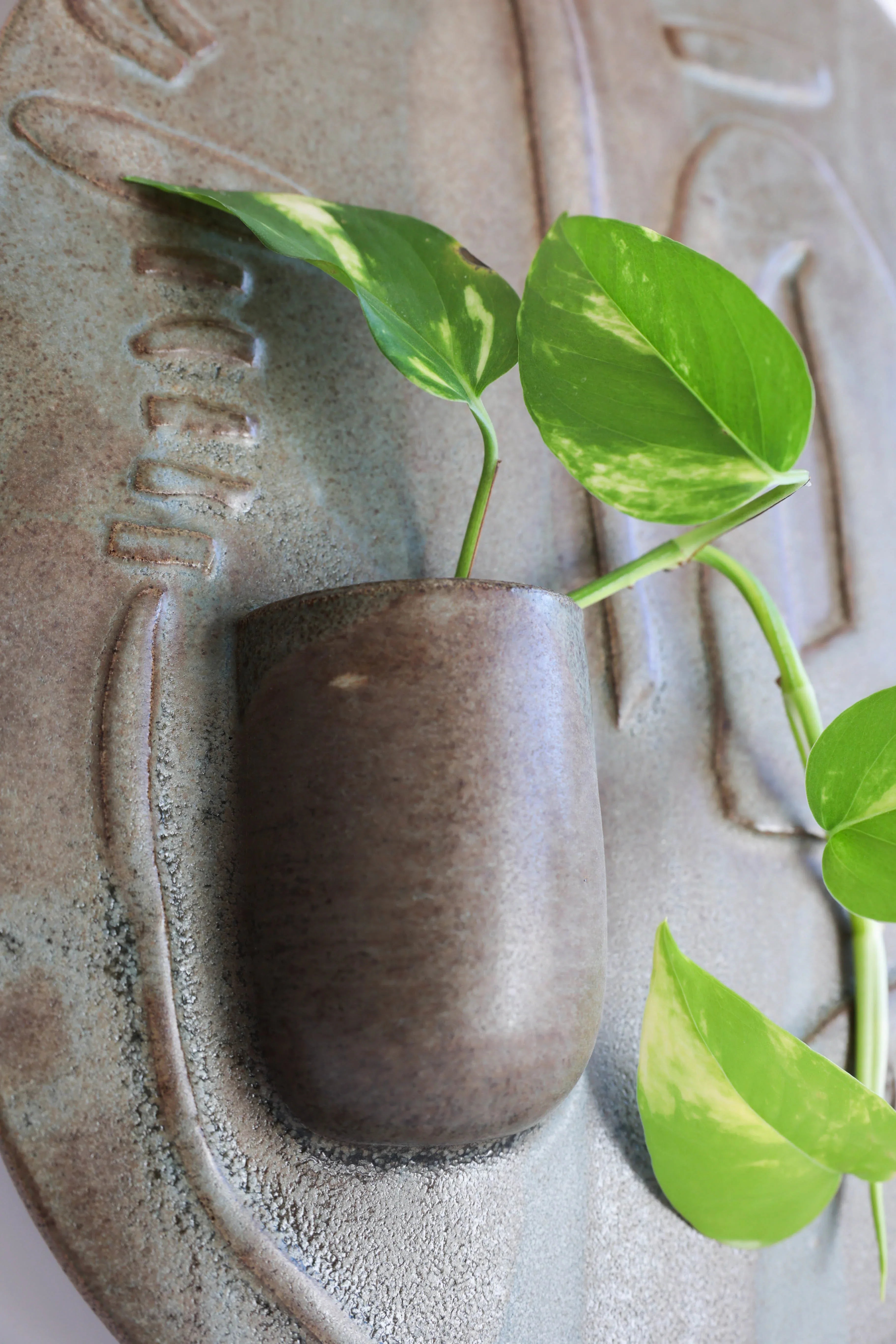 תבליט השרשה