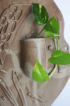 תבליט השרשה